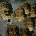 Cooksnap dari Cut Sutra untuk resep Bolen lilit (Pastry)