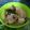 Cooksnap dari Astie Furi untuk resep Garang Asem Ayam Bumbu Cemplung (Tanpa Santan Tanpa Daun Pisang)