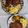 Cooksnap dari Anna Nurjanah untuk resep Steak sapi teflon