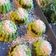 Cooksnap dari Annisa Fitri untuk resep Kue putu bambu tanpa bambu