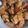 Cooksnap dari Bunda Nathan Adams untuk resep Udang Goreng Tepung Crispy