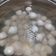 Cooksnap dari Doni Elian untuk resep Bakso sapi & ayam kenyal