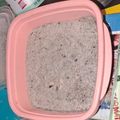 El cooksnap de Gisela Gamarra cuando hizo Helado casero de oreo.