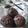 Jalpa Tajapara's cooksnap of when they made કપ કેક (Cup Cake Recipe in Gujarati).