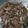Cooksnap dari Niswahyuning Pamungkas untuk resep Jamur kancing saus tiram
