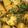 Mariam Azeem (Umme Sarim)'s cooksnap of when they made Mix sabzi (alu methi gajar matar bhaji).