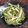 Monika Jain ( Homechef)'s cooksnap of when they made Thai style Cucumber Noodle Salad.