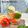 Cooksnap dari Noni Sukmawati untuk resep Tomato Squash