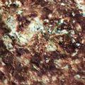 Cooksnap από MissPiggyE στη συνταγή Υγιεινά pancakes με κολοκυθάκια