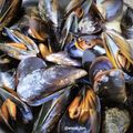 El cooksnap de Encar cuando hizo Mejillones al vino🦪.