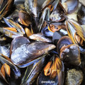 El cooksnap de Encar cuando hizo Mejillones al vino🦪.