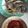 Paweena Latham's cooksnap of when they made ปลานิลนึ่งกับผักพร้อมแจ่วพริกมะกอก.