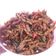 Cooksnap dari HestySetiawati untuk resep 1. Orek tempe mudah dan enak