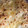 El cooksnap de katia_1966 cuando hizo Canelones de carne picada y patė.