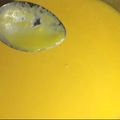 Cooksnap de Cris Maria quando cozinhou Creme de Cenoura.
