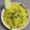 Dr. Pushpa Dixit's cooksnap of when they made Mango rice.
