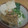 Cooksnap dari Aninditia Sabdaningsih untuk resep Topping Mie Ayam