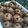 Cooksnap dari iinmahatma untuk resep Milo Doggies Cookies