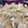 Cooksnap dari YessicaTC untuk resep Siomay Ayam Tanpa Kulit Pangsit