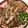 張承鈞 的 鹽蔥脆皮雞腿排 cooksnap