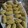 El cooksnap de Laura Ureña Pont cuando hizo Falafel con Thermomix.