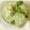 Lakshmi Sridharan Ph D's cooksnap of when they made Mooli ki Chutney.