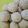 Cooksnap dari And_Zivan untuk resep Onde onde