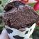 Cooksnap dari yusuf untuk resep Ice Cream Mix Chocolate Ubi Madu