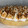 El cooksnap de tapese cuando hizo Lemon pie con merengue suizo.