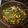 thatoneguy092's cooksnap of when they made Kale with Squash And Onion.