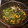thatoneguy092's cooksnap of when they made Kale with Squash And Onion.