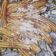 Cooksnap dari Catur Wulandari untuk resep Churros maknyus