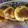 Smruti Shah's cooksnap of when they made બટાકા વડા (Bataka Vada Recipe In Gujarati).