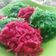 Cooksnap dari Widjie Astuti untuk resep Kembang gula jadoel
