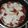 El cooksnap de Paula Nuñez cuando hizo Pizzas caseras con harina leudante en olla o sartén essen.
