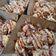 Cooksnap dari Alfina Afwani untuk resep Takoyaki (Anti gagal)