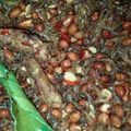 Cooksnap dari lia winastuti untuk resep Balado Teri Kacang