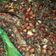 Cooksnap dari lia winastuti untuk resep Balado Teri Kacang