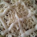 Cooksnap dari istiqomah untuk resep Pizza teflon empuk
