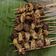 Cooksnap dari Nimas Ririn untuk resep Sate Ayam Maranggi aLa Rumahan