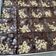 Cooksnap dari Cici Puspa untuk resep 30. Brownies Sekat 24 cm
