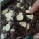 Cooksnap dari KhodijahAhmadd untuk resep Fudgy Brownies