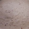 El cooksnap de Chimuelo 's cuando hizo Salsa blanca.