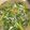 Cooksnap dari meykimhar untuk resep Ca kangkung pedas gila