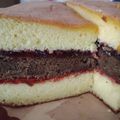 Cooksnap dari bestarien untuk resep Spiku/Lapis Surabaya