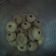 Cooksnap dari Sunnov untuk resep Monde cookies (eggless)