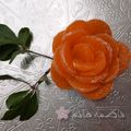 کوک اسنپ فاطمـــہ مصطفایی 🌸 بعد از امتحان کردن گل با نارنگی🌺.