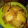 Cooksnap dari Ranufa Nadheema untuk resep Martabak Telur kulit lumpia sederhana