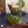 Deepa Rupani's cooksnap of when they made Gulkand Paan Mojito (Non-Alcholic drink).