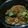 Cooksnap dari Lukie Lazuardi untuk resep Mie Goreng Ala Chinese Food (Mie Urai Burung Dara)
